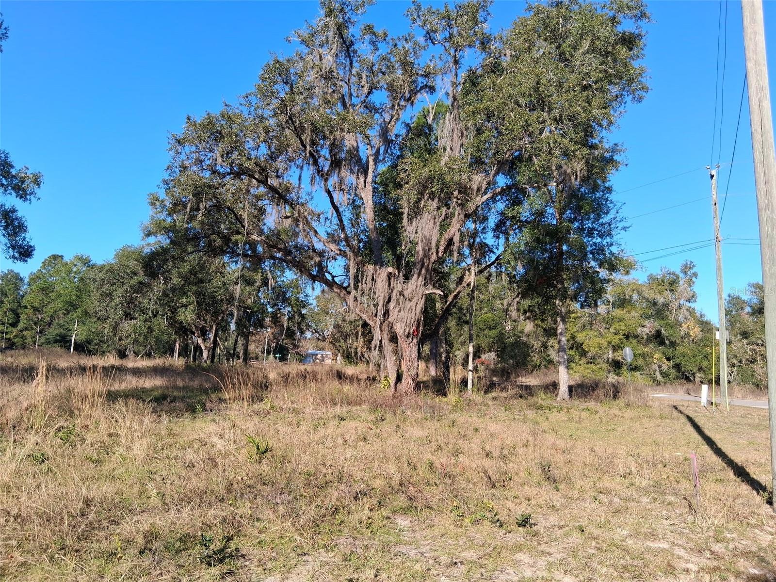 0 LONG CIR, WEBSTER, FL — photo 3