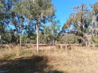 0 LONG CIR — photo 6