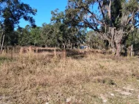 0 LONG CIR — photo 8