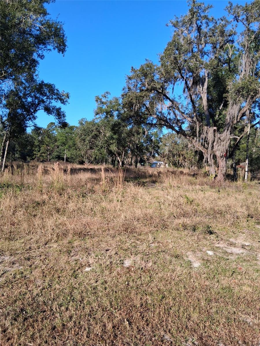 0 LONG CIR, WEBSTER, FL — photo 7
