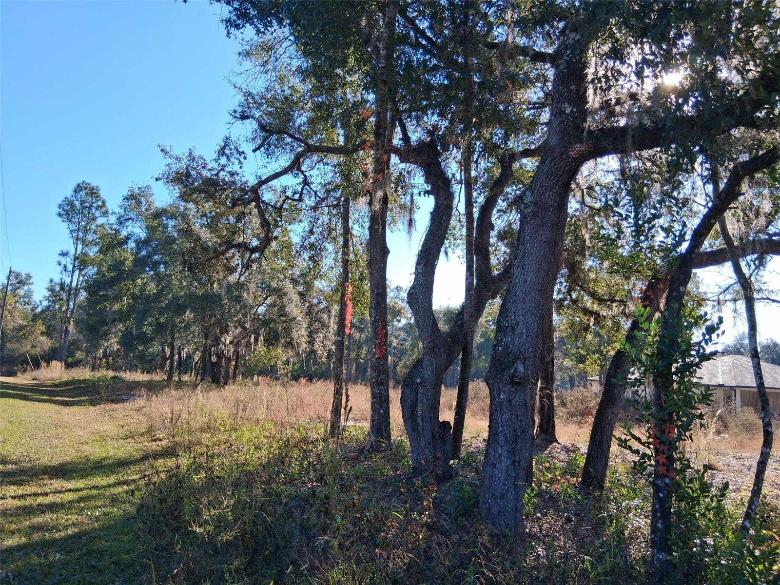 0 LONG CIR, WEBSTER, FL — photo 9