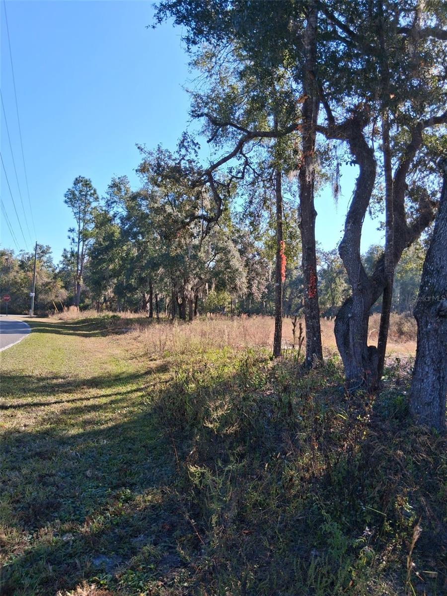 0 LONG CIR, WEBSTER, FL — photo 11