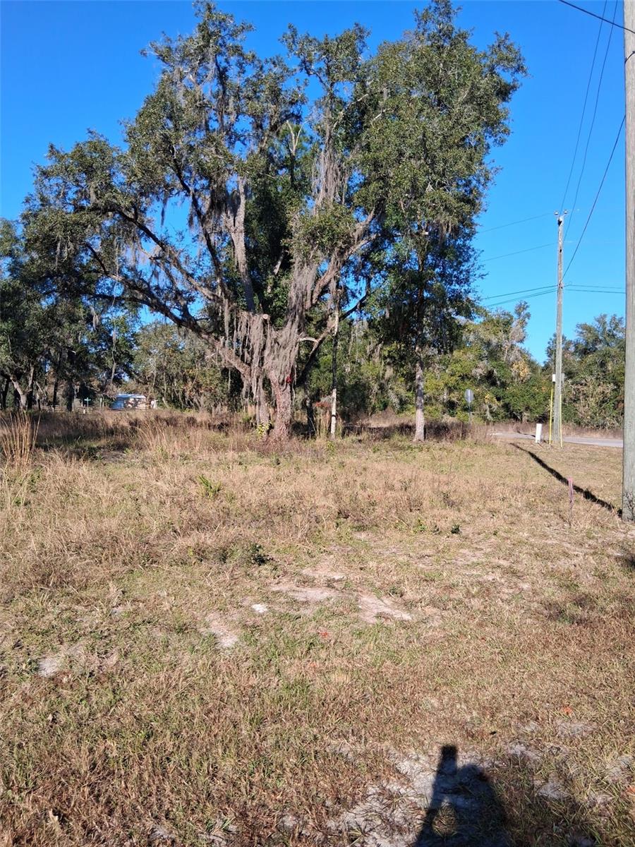 0 LONG CIR, WEBSTER, FL — photo 13