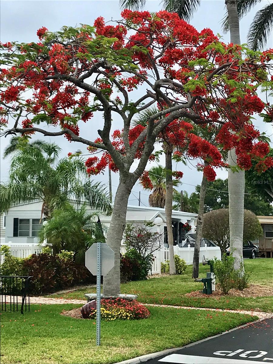 3710 GULF OF MEXICO DR #G12, LONGBOAT KEY, FL — photo 9
