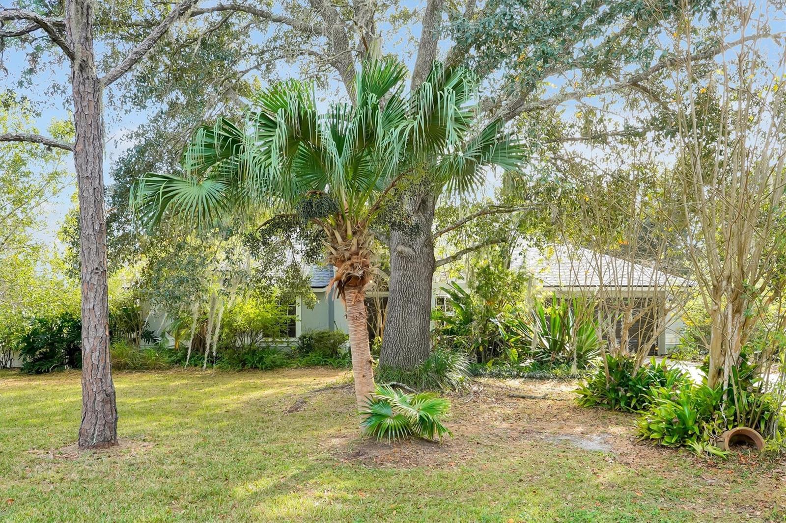 19814 MOORGATE ST, ORLANDO, FL