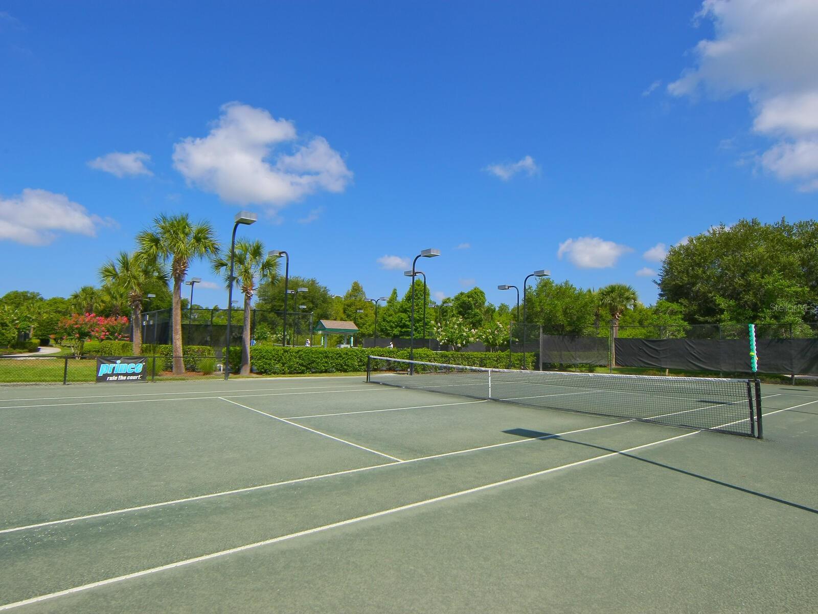 12129 THORNHILL CT, LAKEWOOD RANCH, FL — photo 41