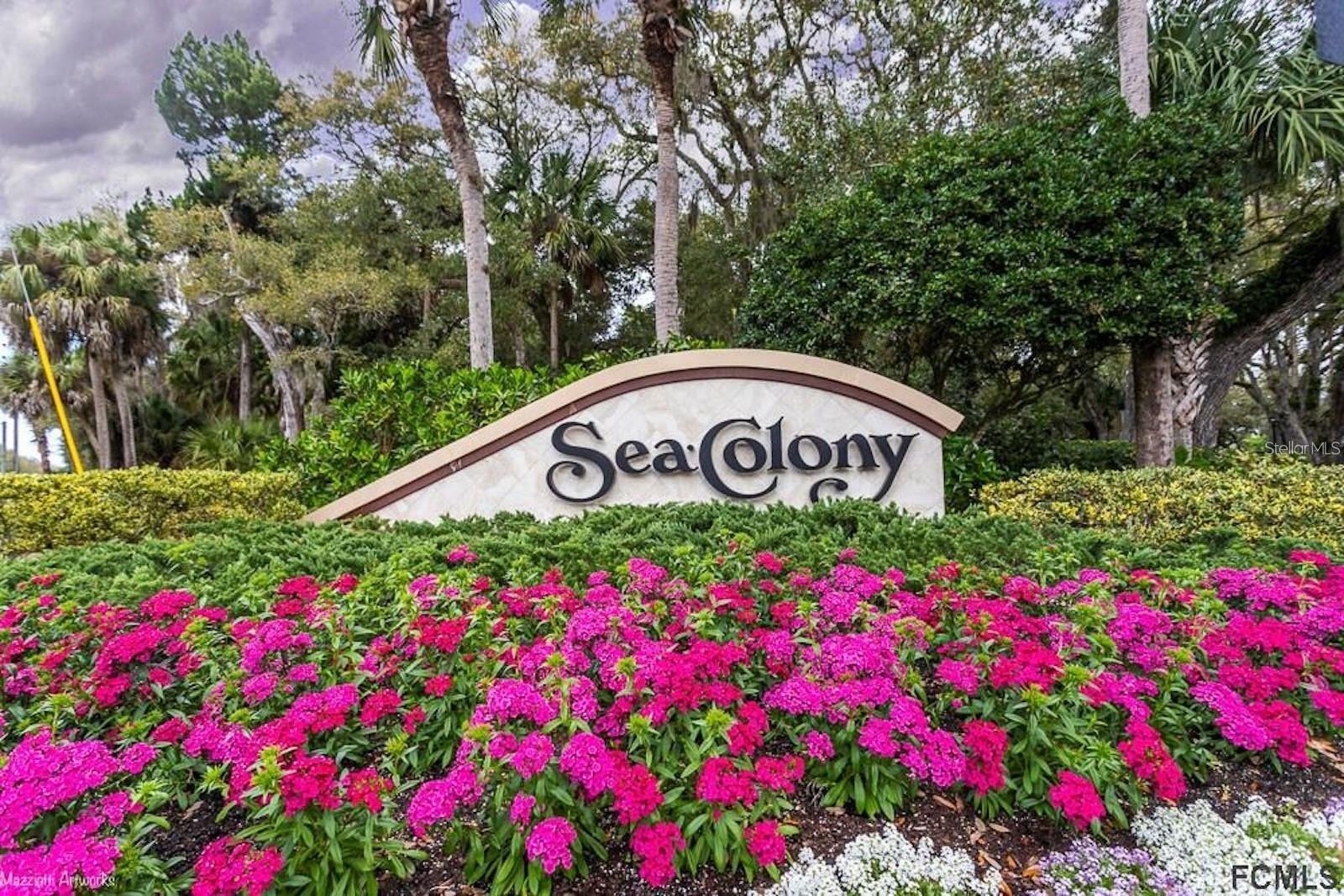 39 AVALON TER, PALM COAST, FL — photo 22