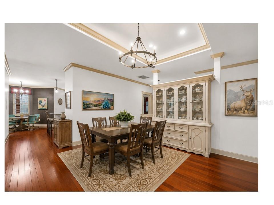 2209 LOST RIVER TRL, RUSKIN, FL — photo 49