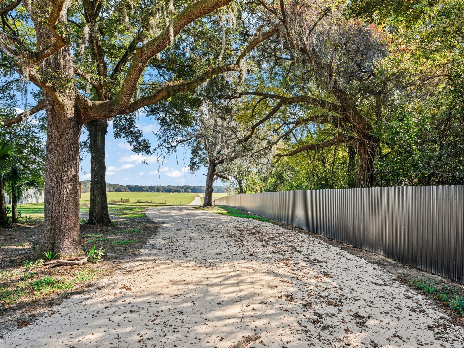 CR 635, BUSHNELL, FL — photo 6