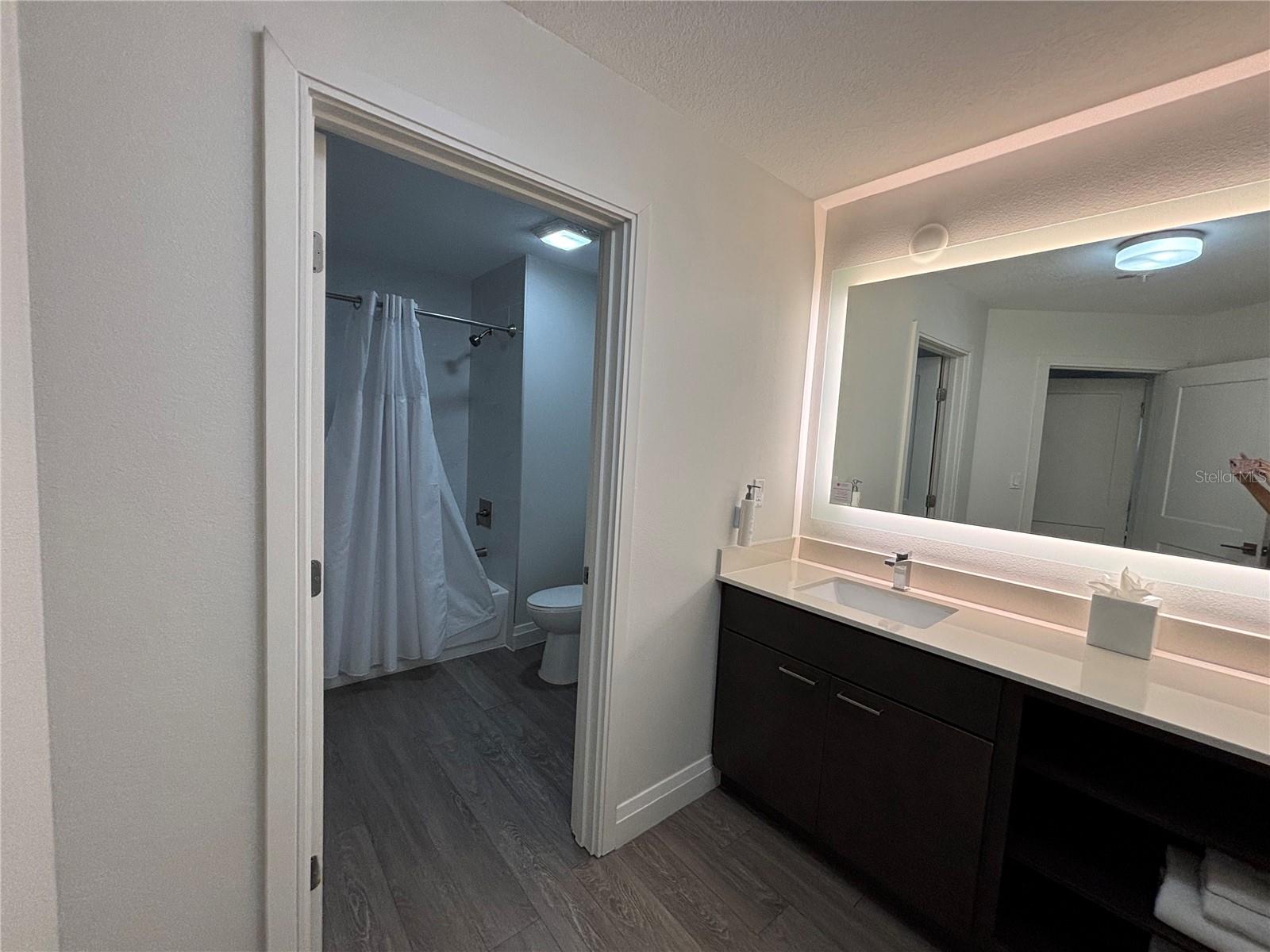 14501 GROVE RESORT AVE #3304, WINTER GARDEN, FL — photo 11