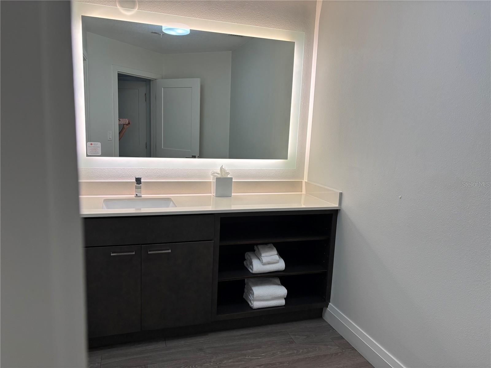 14501 GROVE RESORT AVE #3304, WINTER GARDEN, FL — photo 12