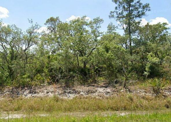 978 ARCHIE SUMMERS RD, LAKE PLACID, FL