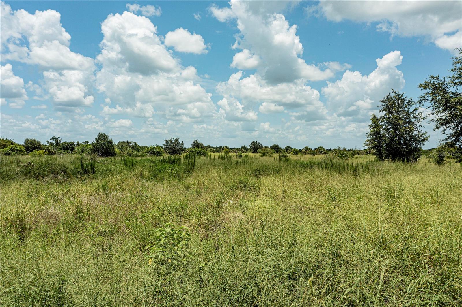 SW HULL AVE, ARCADIA, FL — photo 28