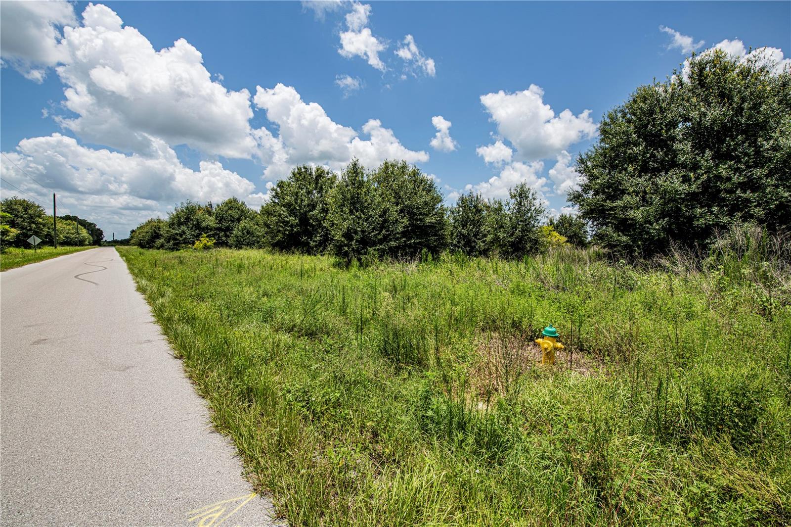 SW HULL AVE, ARCADIA, FL — photo 30