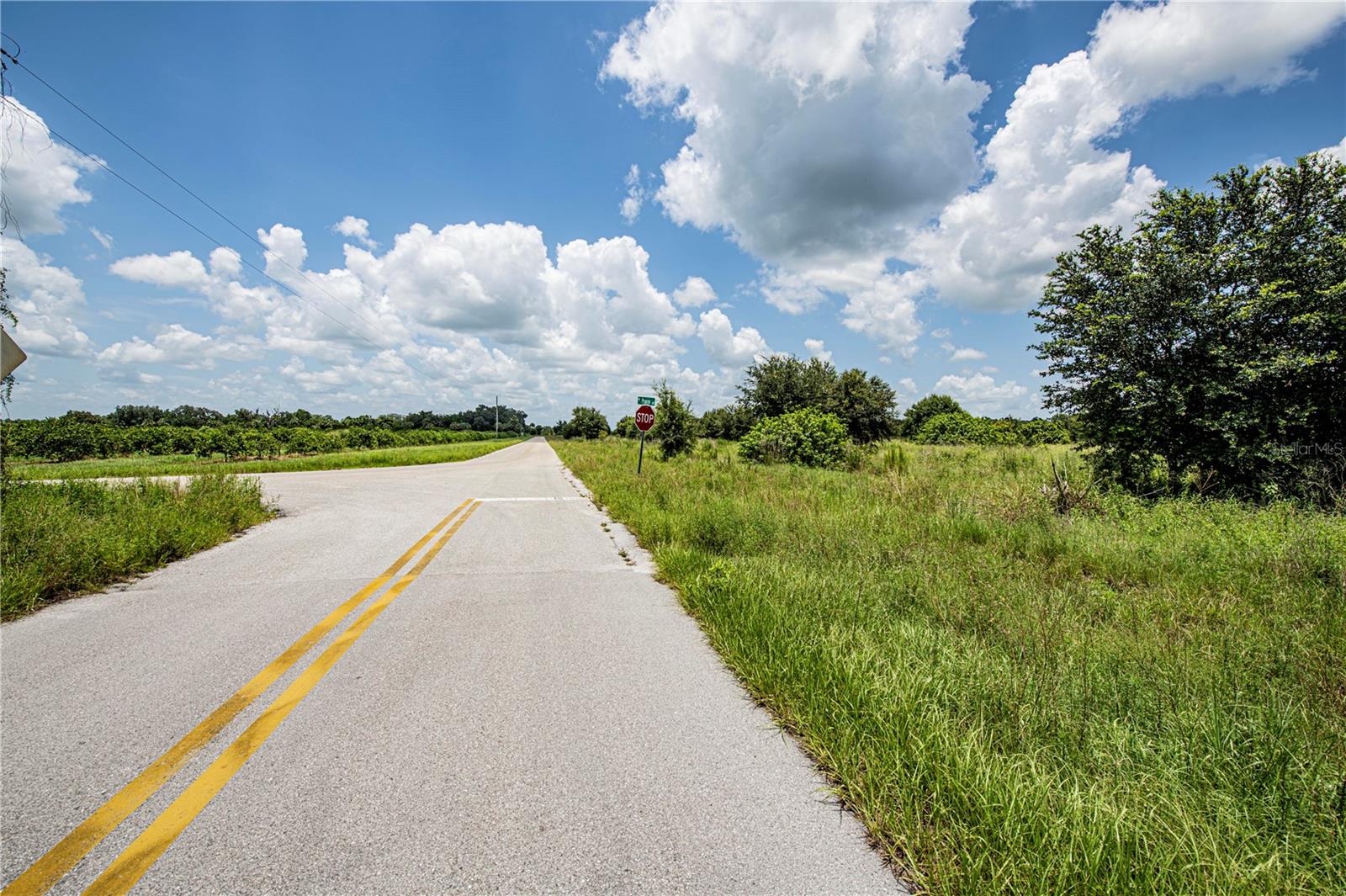 SW HULL AVE, ARCADIA, FL — photo 32