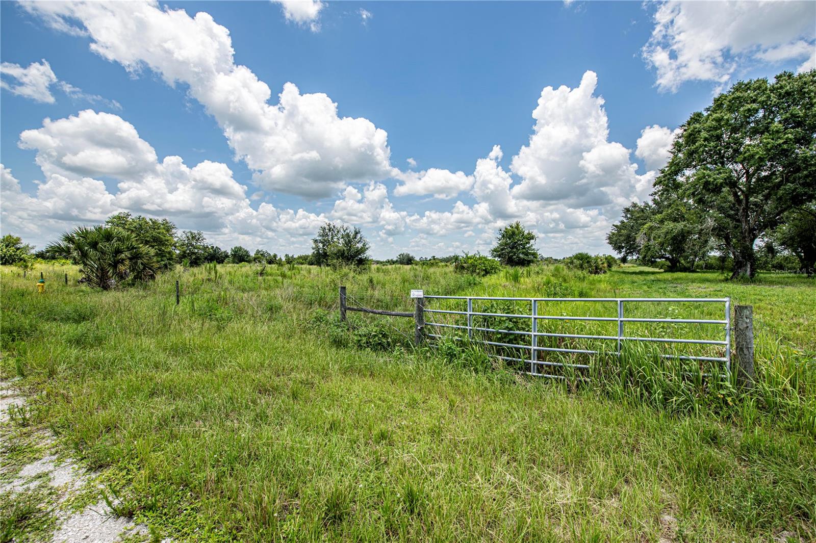 SW HULL AVE, ARCADIA, FL — photo 36