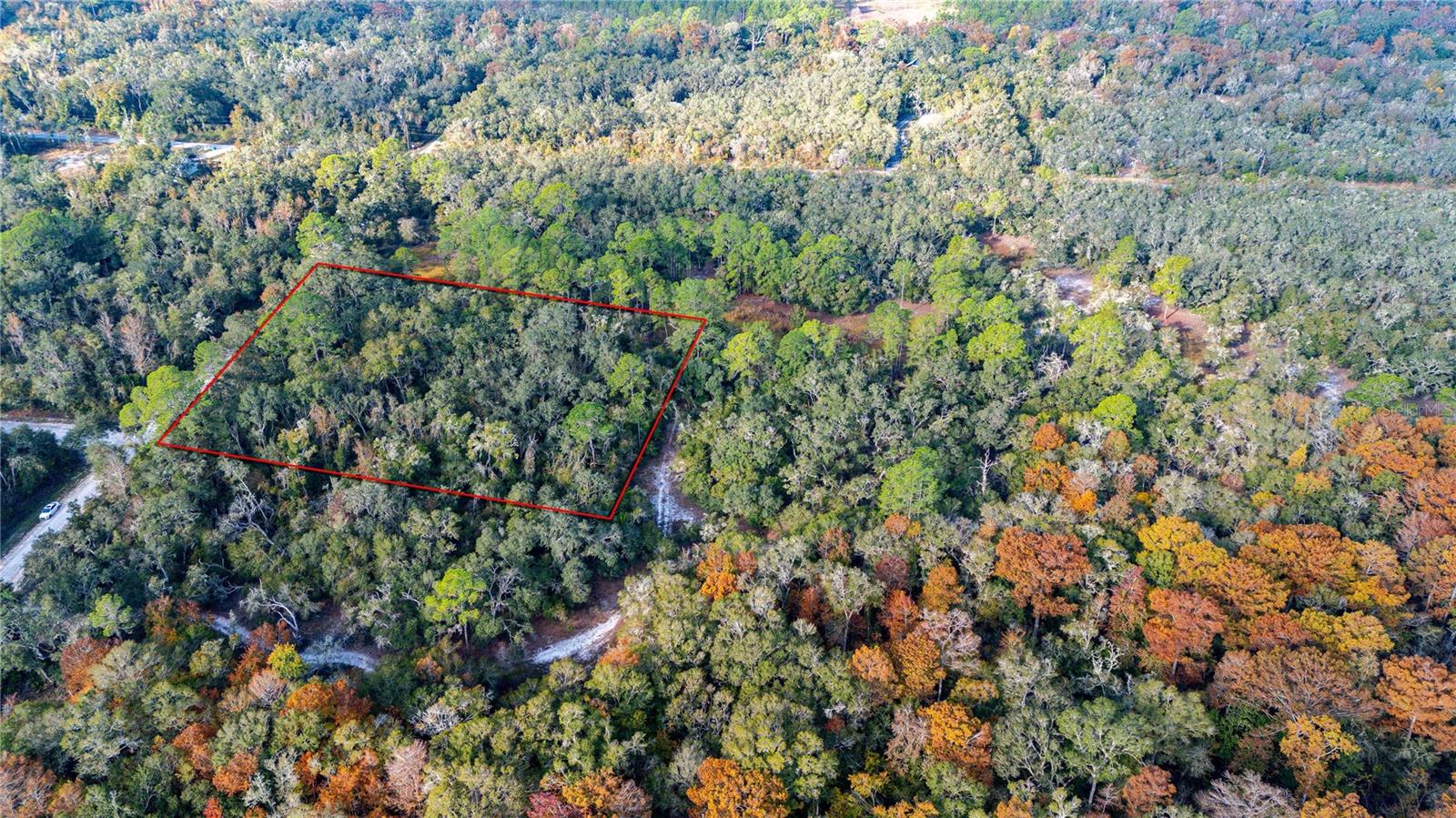 0 ROSE BLOOM LOT 5 AVE, WEBSTER, FL — photo 2