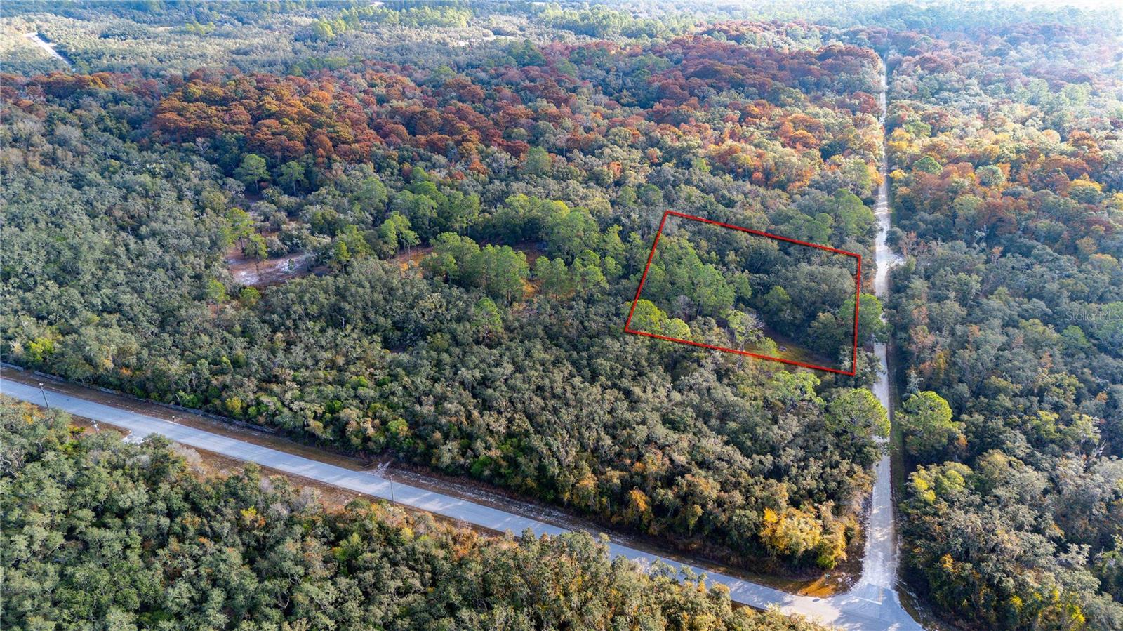 0 ROSE BLOOM LOT 5 AVE, WEBSTER, FL — photo 4