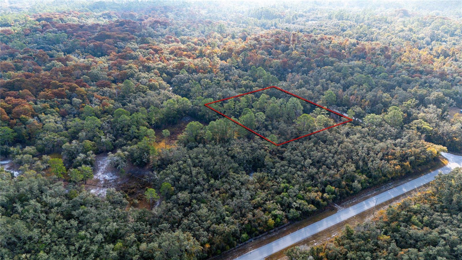 0 ROSE BLOOM LOT 5 AVE, WEBSTER, FL — photo 6