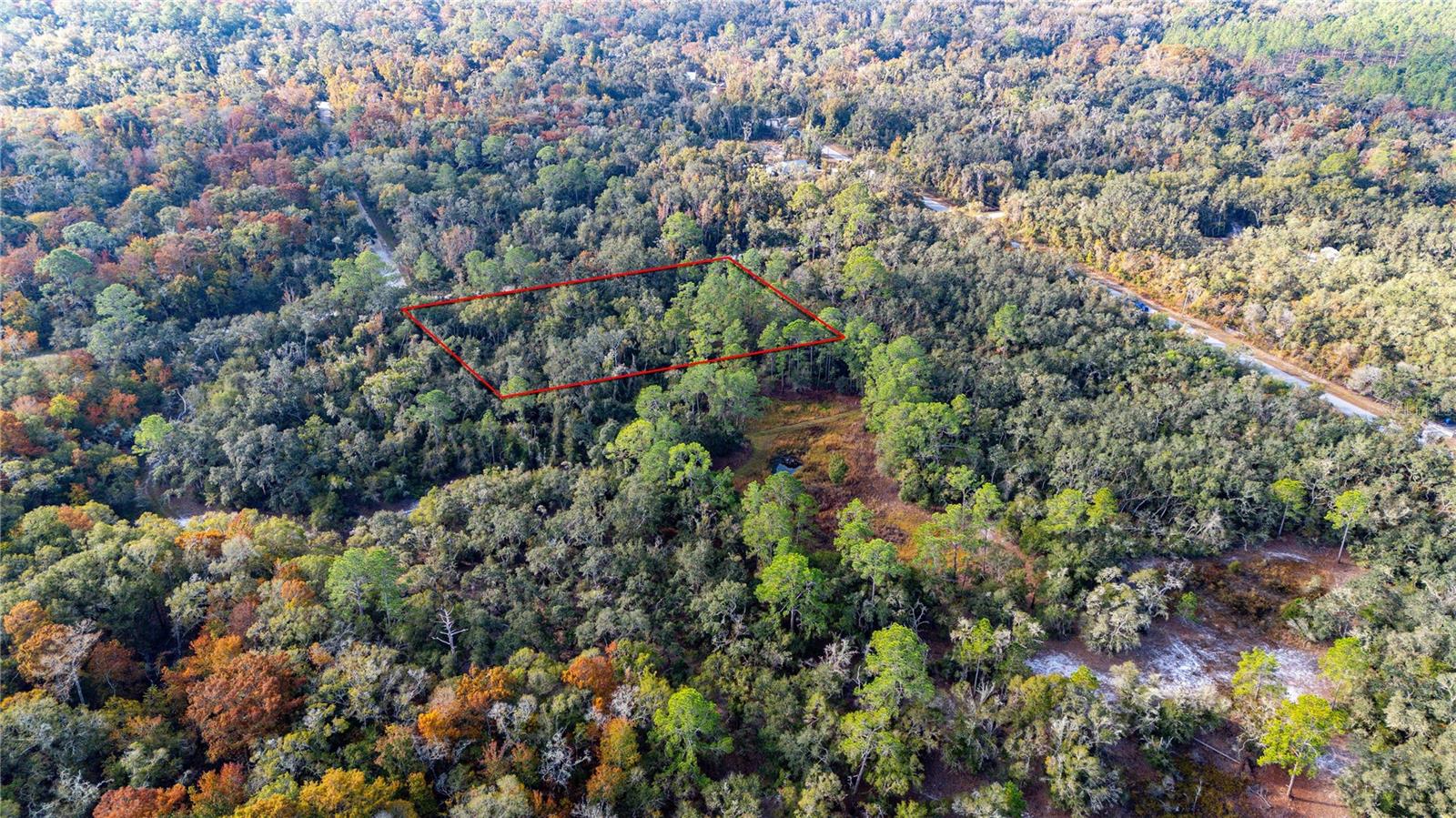 0 ROSE BLOOM LOT 5 AVE, WEBSTER, FL — photo 8