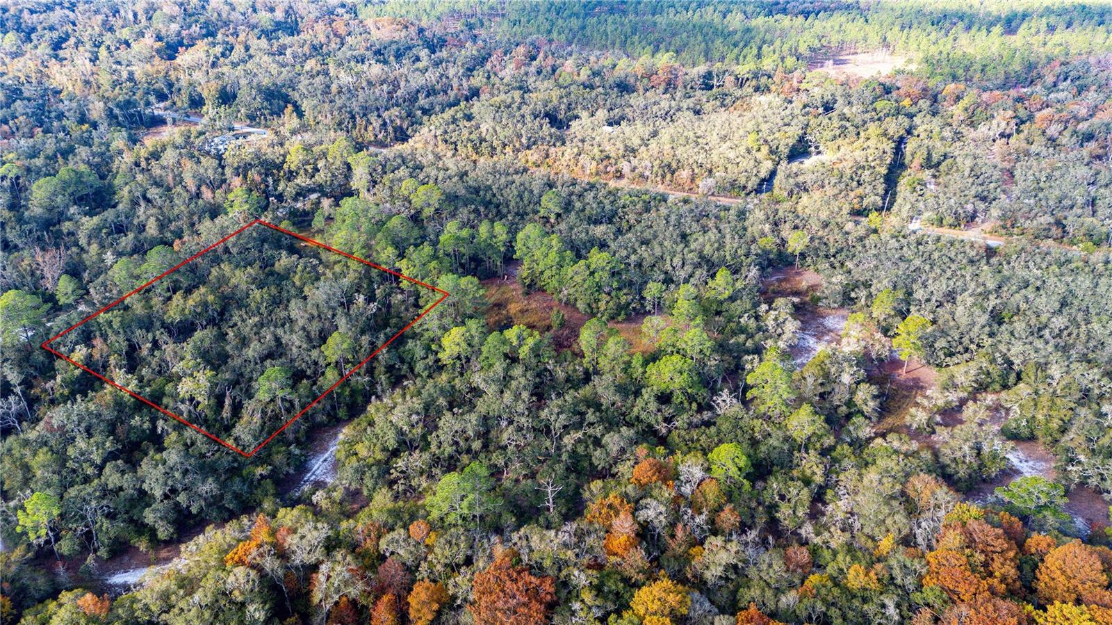 0 ROSE BLOOM LOT 5 AVE, WEBSTER, FL — photo 9