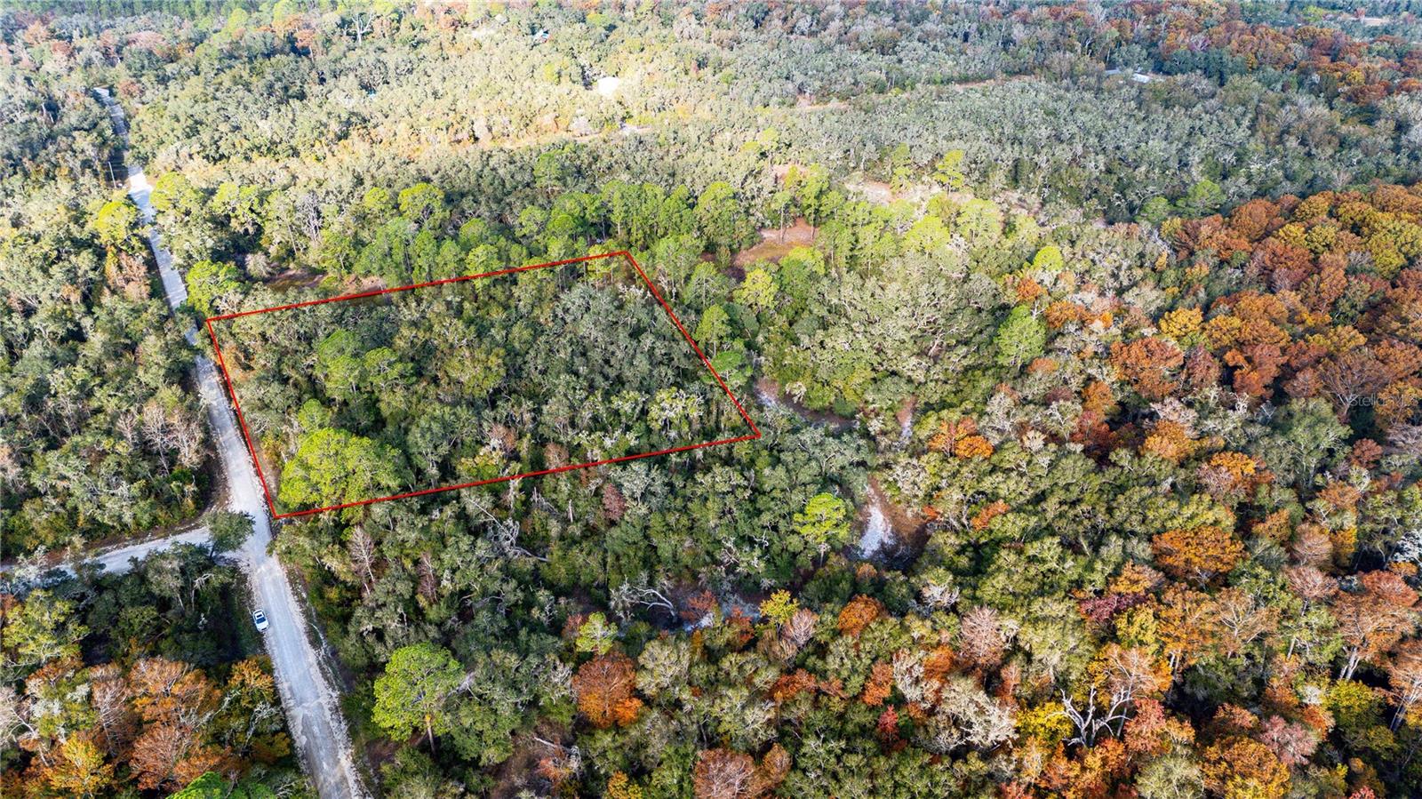 0 ROSE BLOOM LOT 5 AVE, WEBSTER, FL — photo 10