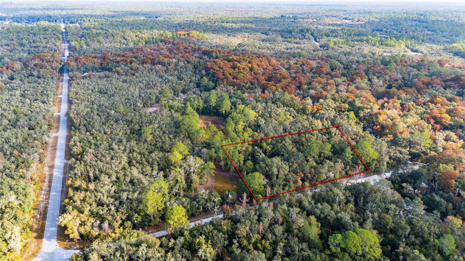 0 ROSE BLOOM LOT 5 AVE, WEBSTER, FL — photo 11