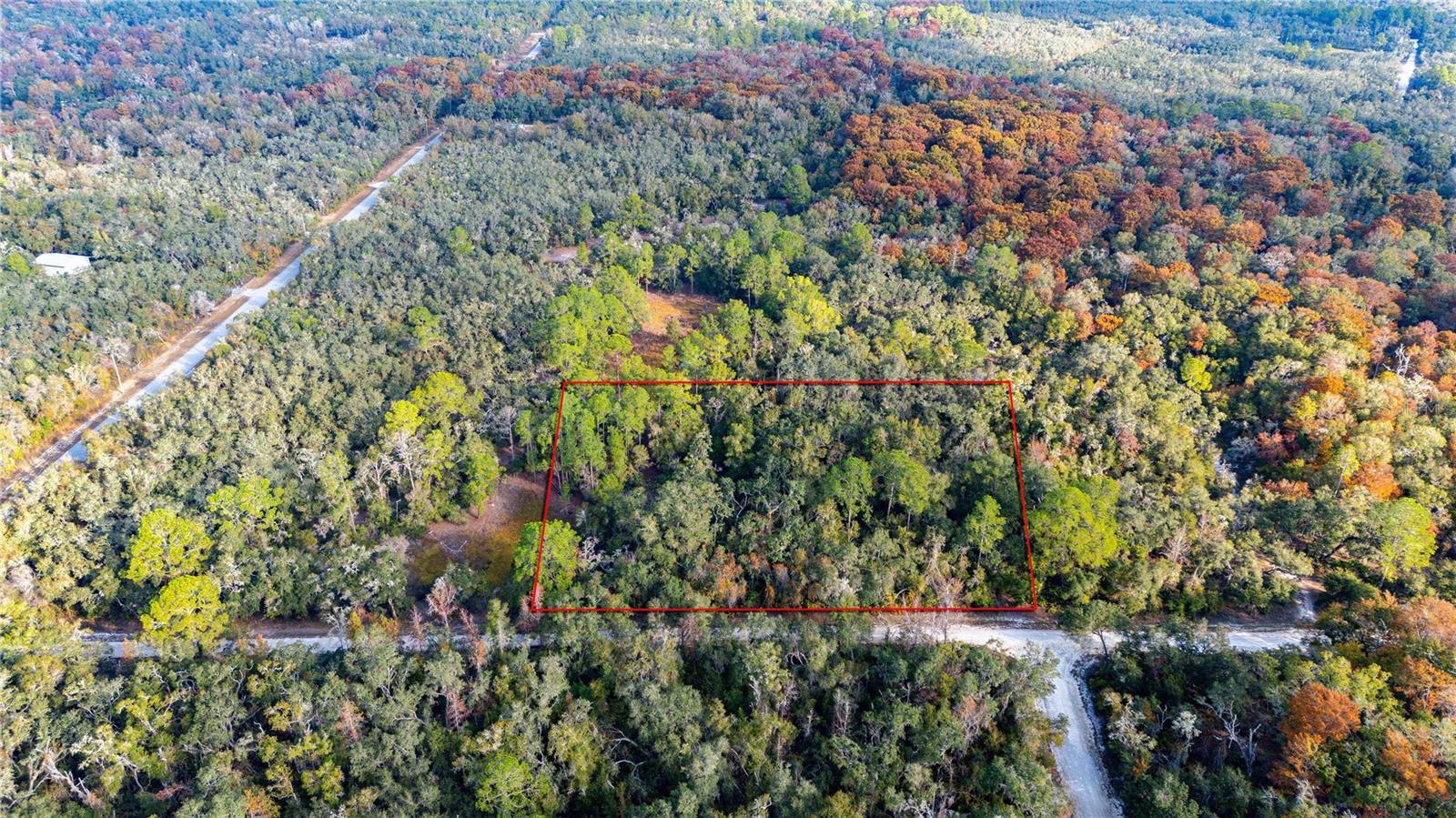 0 ROSE BLOOM LOT 5 AVE, WEBSTER, FL — photo 12