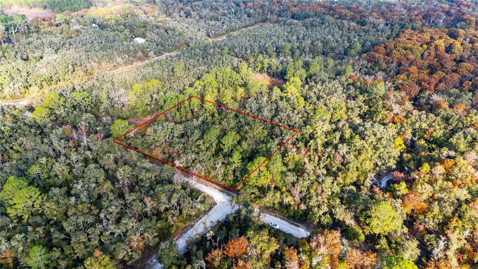 0 ROSE BLOOM LOT 5 AVE, WEBSTER, FL — photo 13