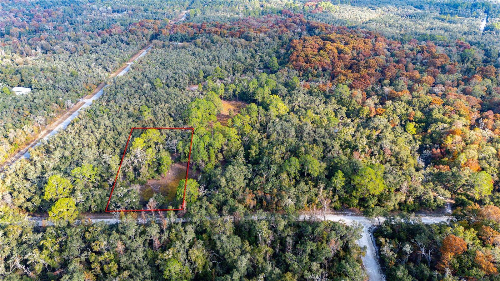 0 ROSE BLOOM LOT 7 AVE, WEBSTER, FL — photo 2