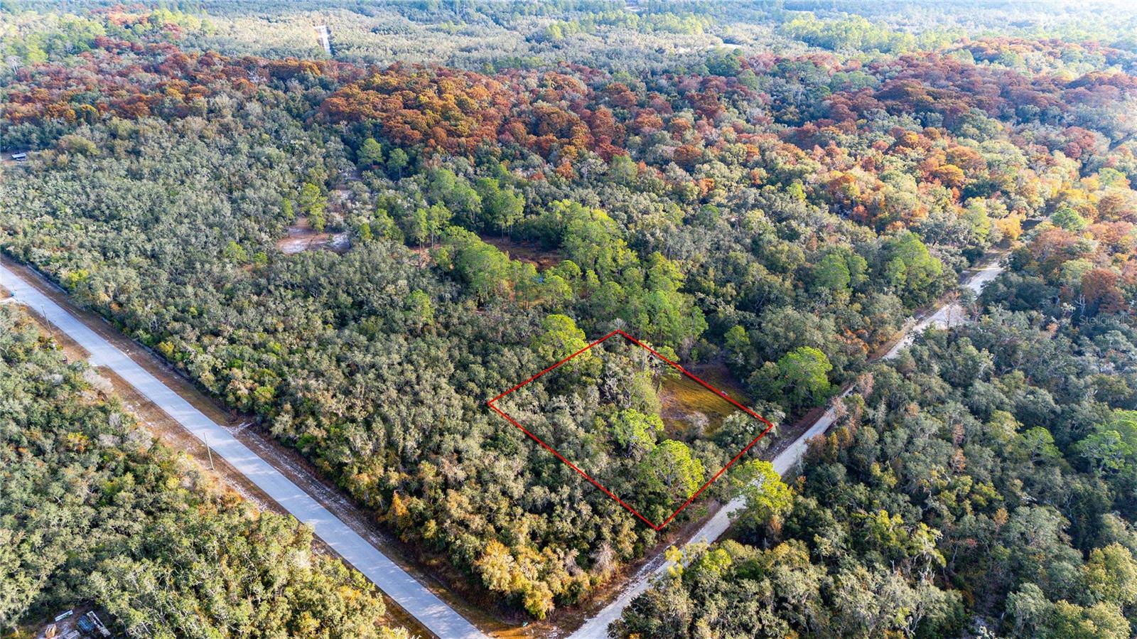 0 ROSE BLOOM LOT 7 AVE, WEBSTER, FL — photo 3