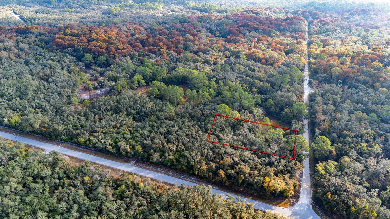 0 ROSE BLOOM LOT 7 AVE, WEBSTER, FL — photo 4