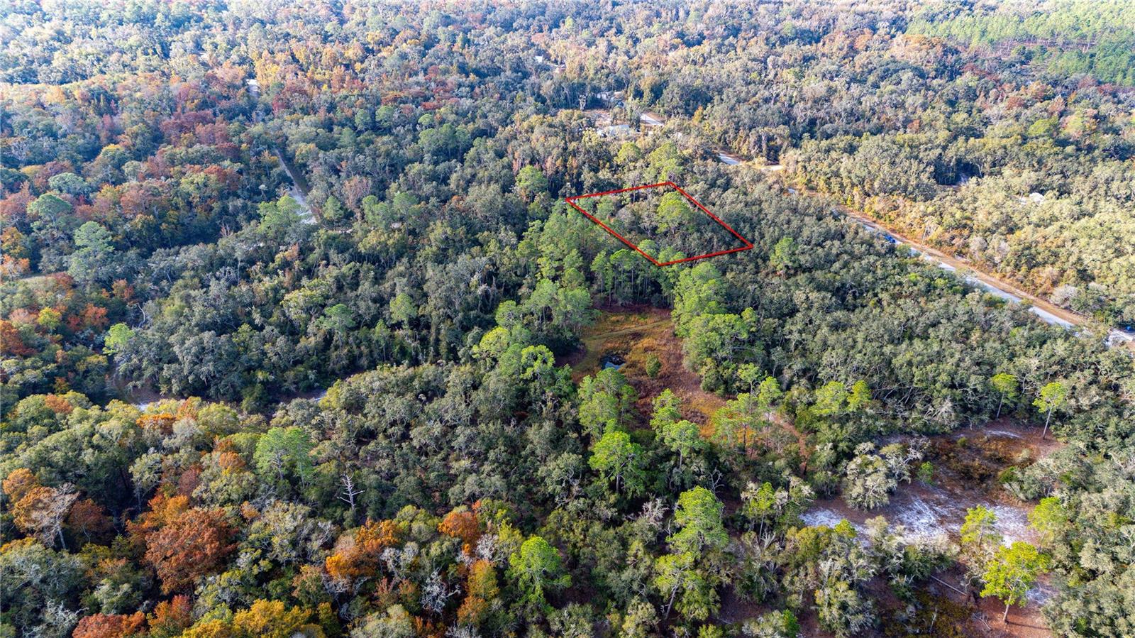 0 ROSE BLOOM LOT 7 AVE, WEBSTER, FL — photo 8