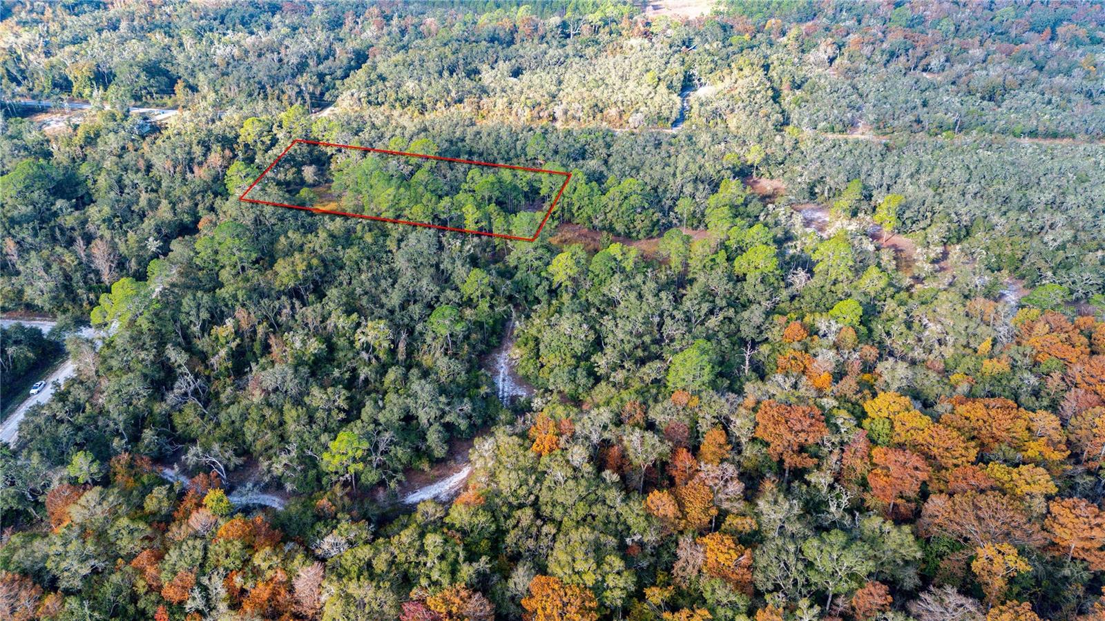 0 ROSE BLOOM LOT 7 AVE, WEBSTER, FL — photo 10