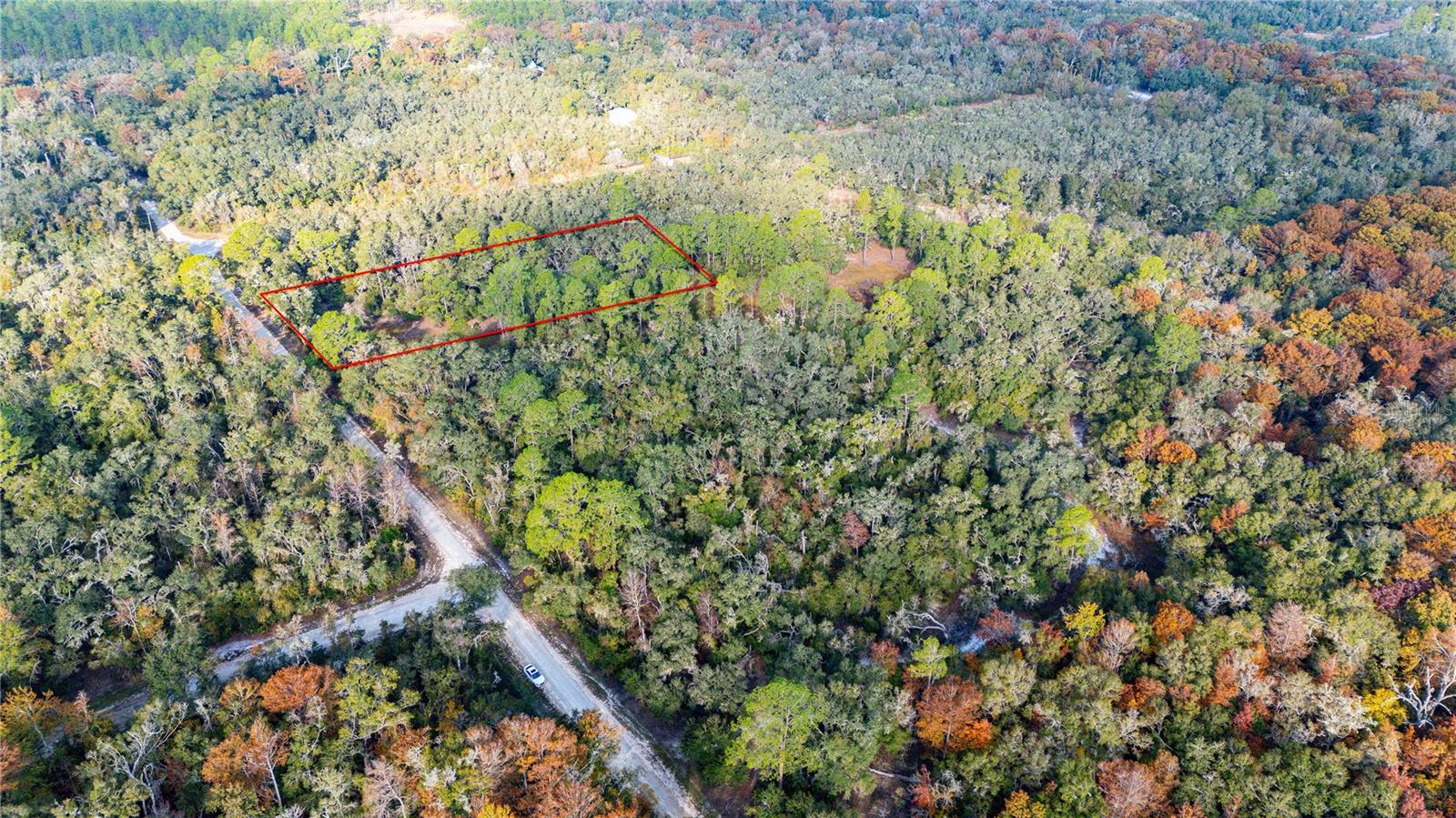 0 ROSE BLOOM LOT 7 AVE, WEBSTER, FL — photo 11