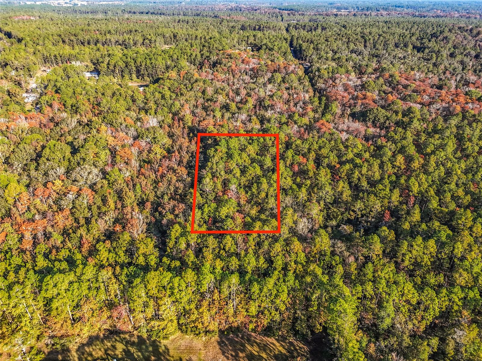 SW 6TH TER, PALATKA, FL