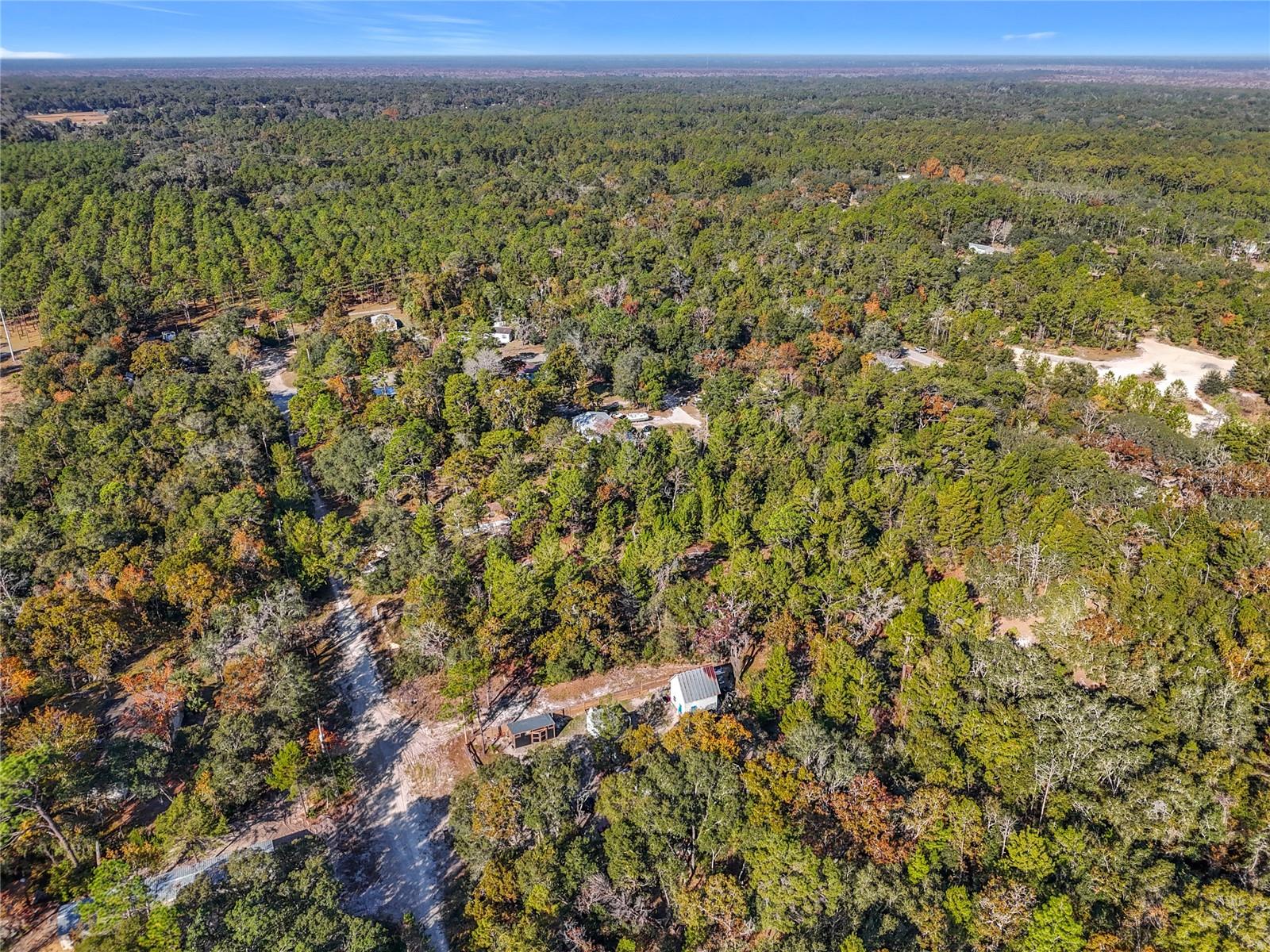 109 LUCAS ST, SATSUMA, FL — photo 4