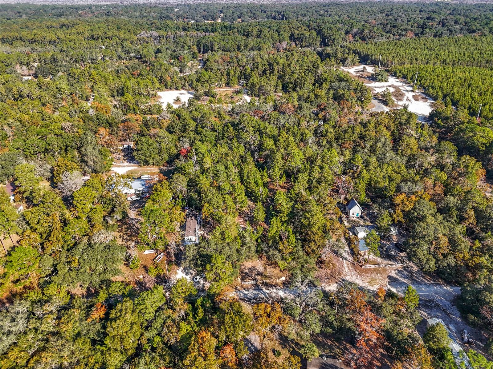 109 LUCAS ST, SATSUMA, FL — photo 5
