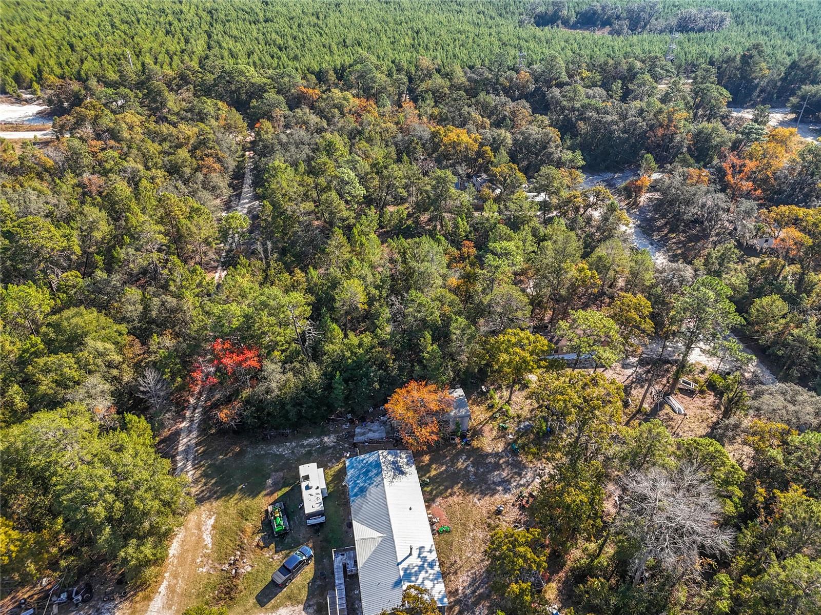 109 LUCAS ST, SATSUMA, FL — photo 8