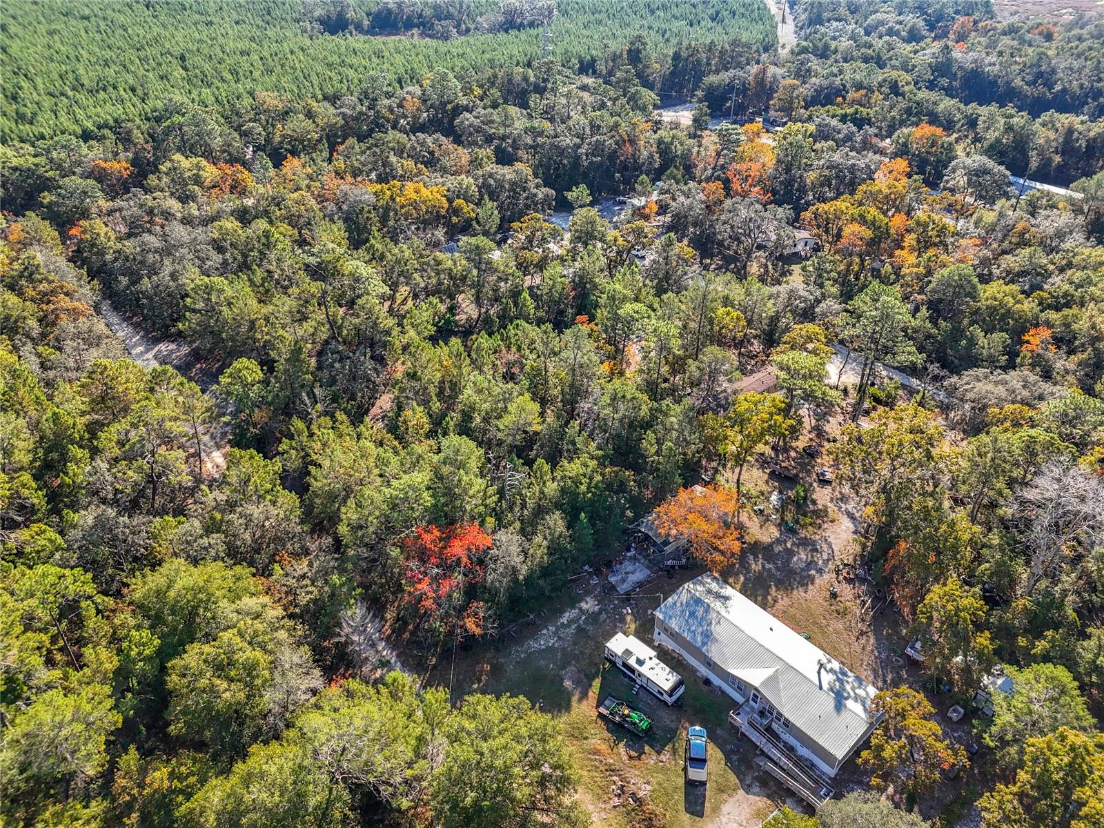 109 LUCAS ST, SATSUMA, FL — photo 9
