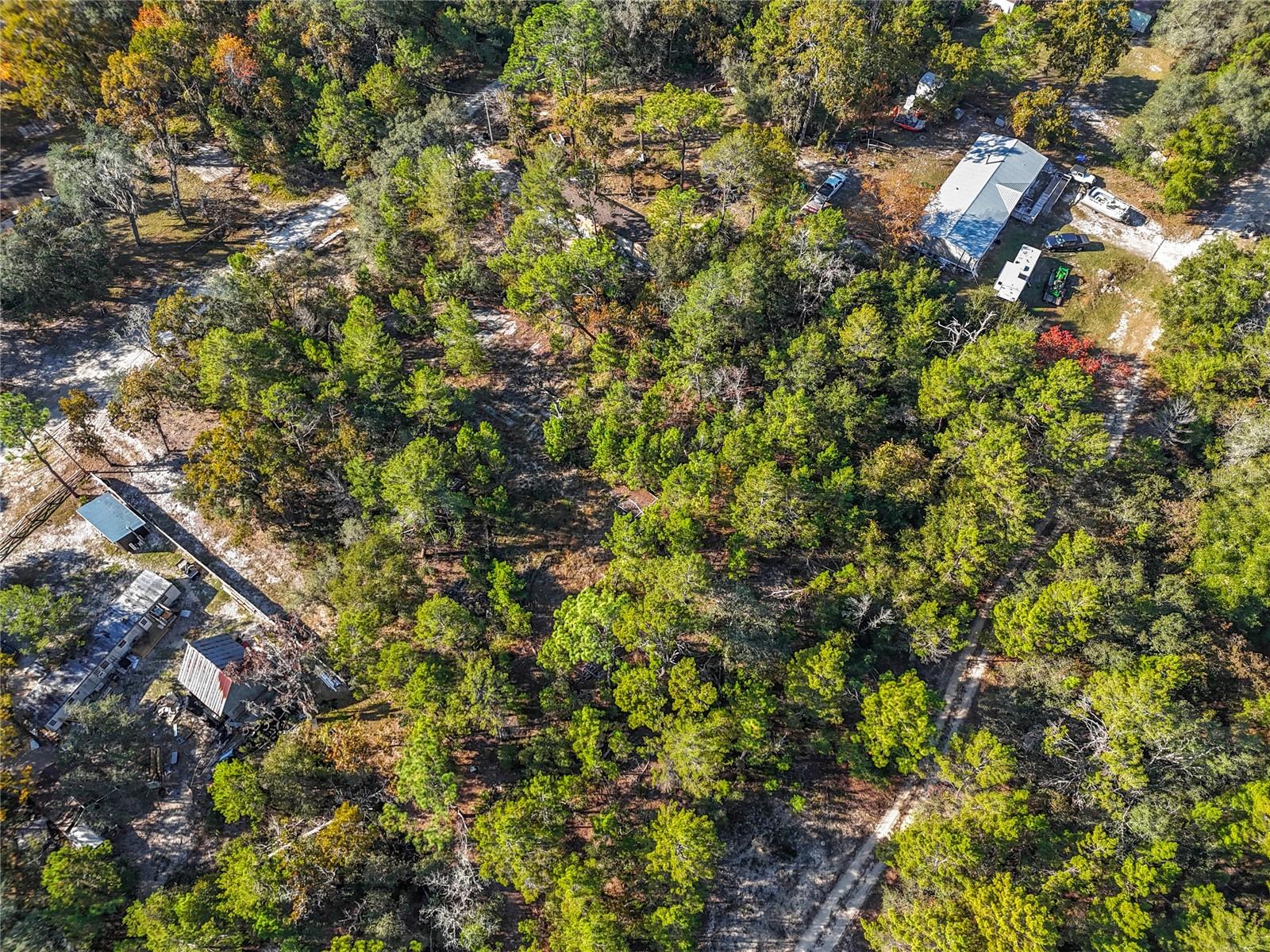109 LUCAS ST, SATSUMA, FL — photo 10