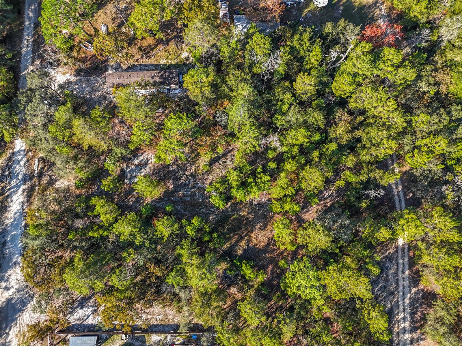 109 LUCAS ST, SATSUMA, FL — photo 14