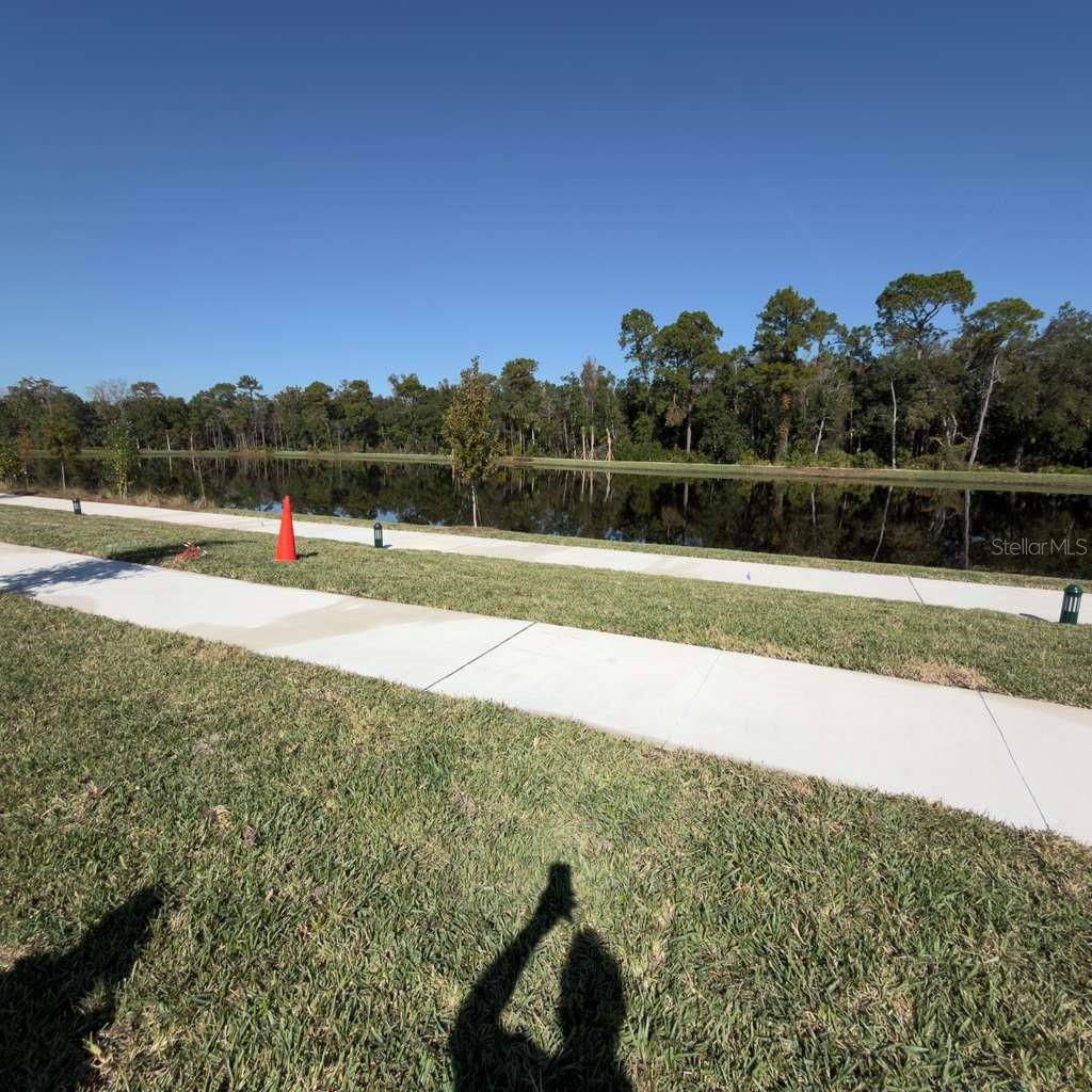 2468 CELEBRATION BLVD, CELEBRATION, FL — photo 45