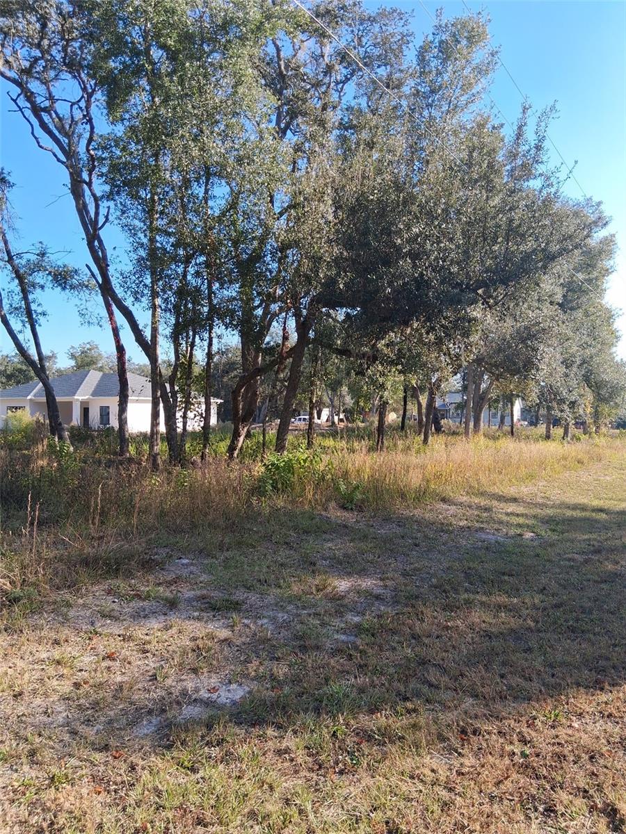 0 AUGUST AVE, WEBSTER, FL — photo 4