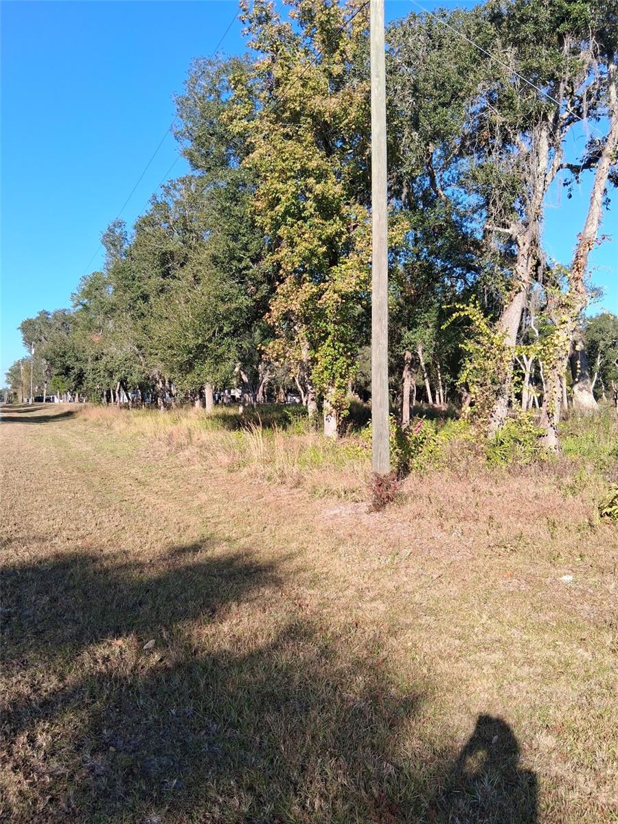 0 AUGUST AVE, WEBSTER, FL — photo 5
