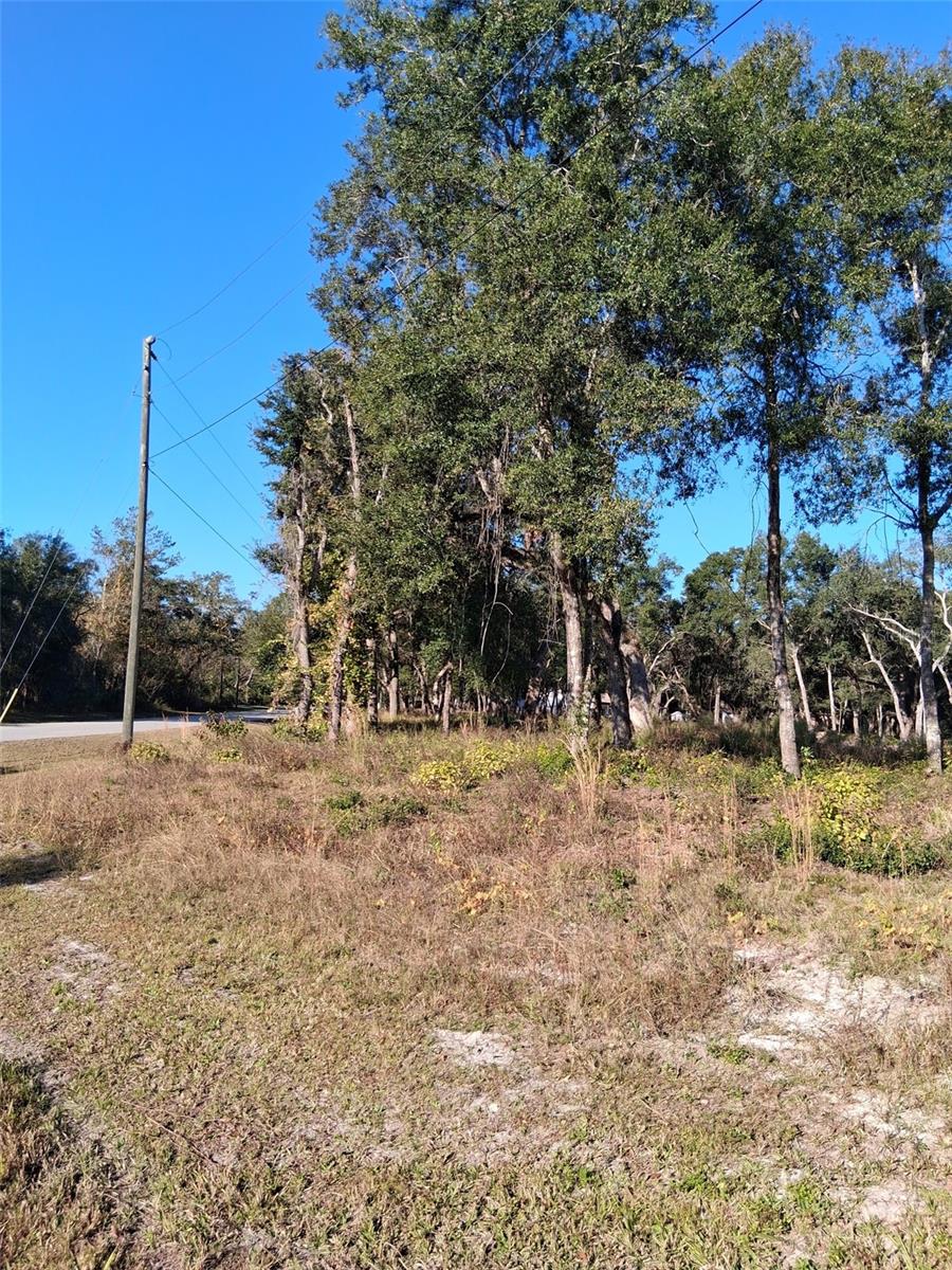 0 AUGUST AVE, WEBSTER, FL — photo 7