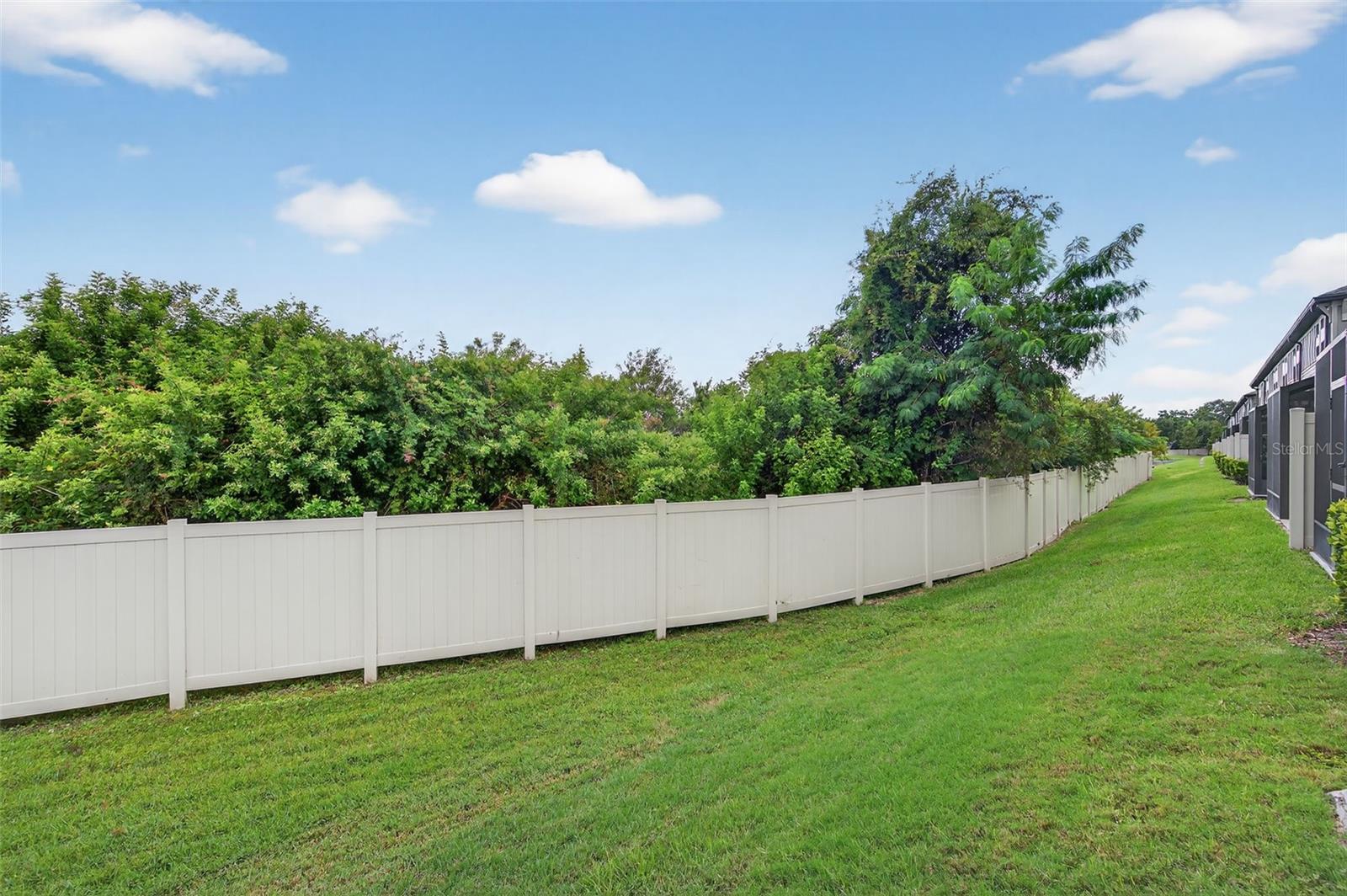 2419 FOGGY CREEK CIR, CLEARWATER, FL — photo 38