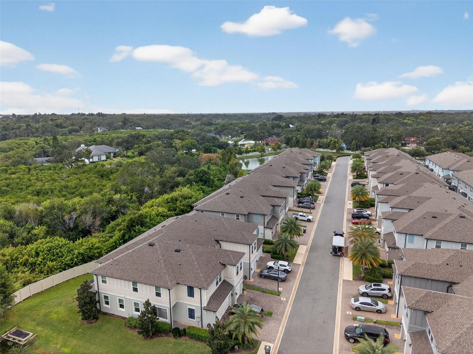 2419 FOGGY CREEK CIR, CLEARWATER, FL — photo 40