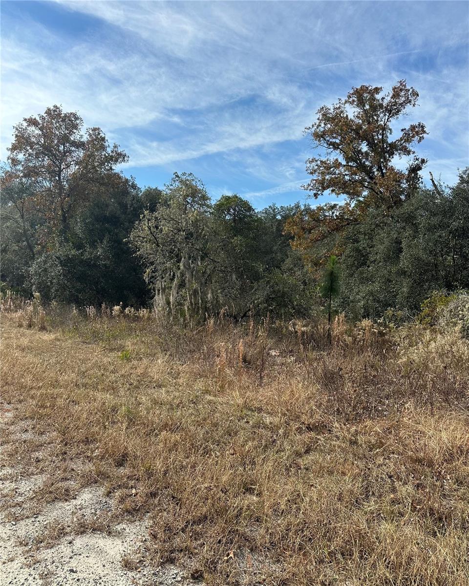 Lot 26 SE 133RD AVE, DUNNELLON, FL
