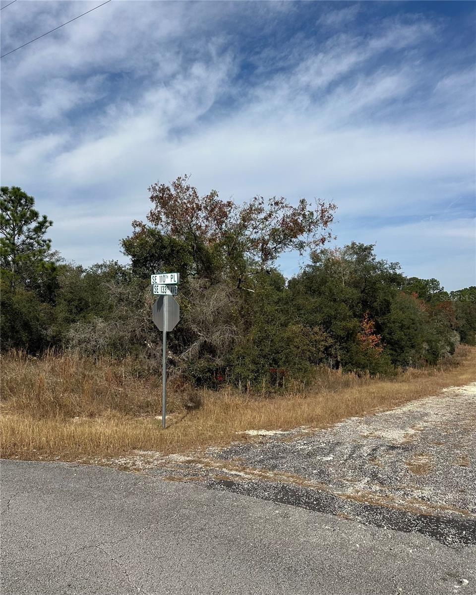 Lot 26 SE 133RD AVE, DUNNELLON, FL — photo 3